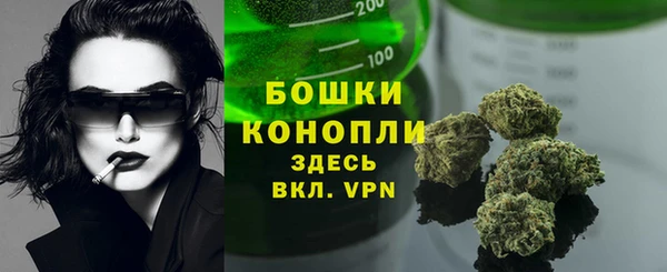амфетамин Новодвинск