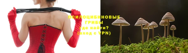 2c-b Нефтегорск