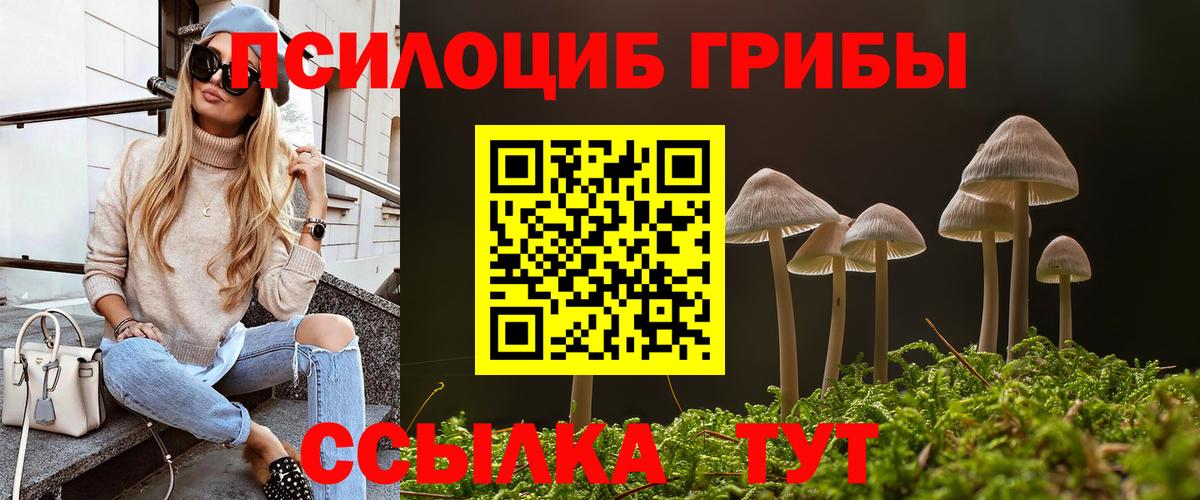 Псилоцибиновые грибы мухоморы Алейск