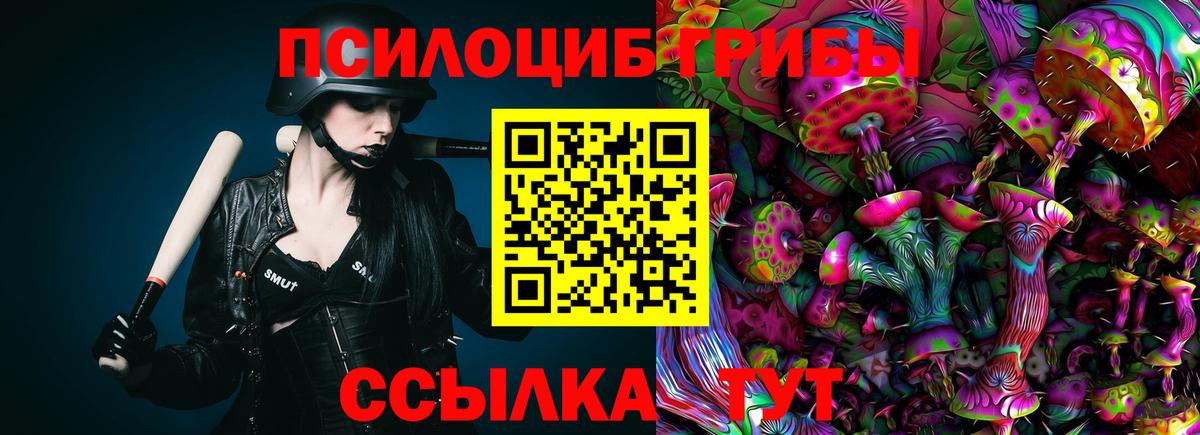 Алейск  Галлюциногенные грибы GOLDEN TEACHER  Вход с VPN 