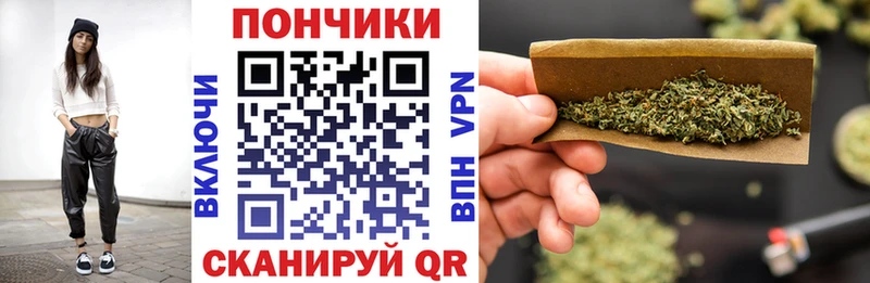 Шишки марихуана сатива  Алейск 